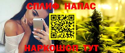 PSILOCYBIN Нальчик