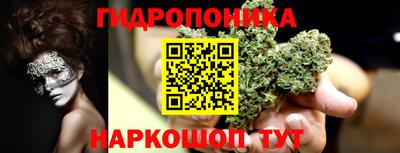 PSILOCYBIN Нальчик