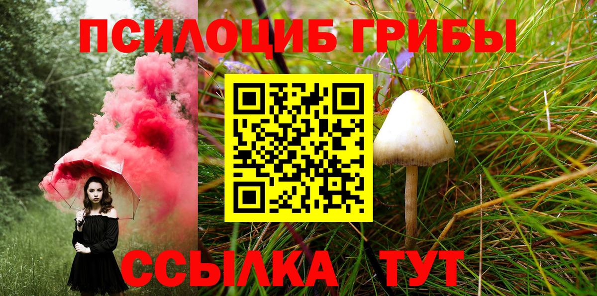 Псилоцибиновые грибы Magic Shrooms Тайшет